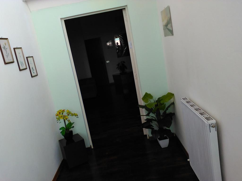 Hotel Cristallo 阿塞尔吉 外观 照片